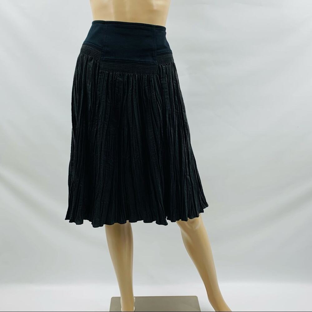 Areli Collection Black Pleated Skirt
